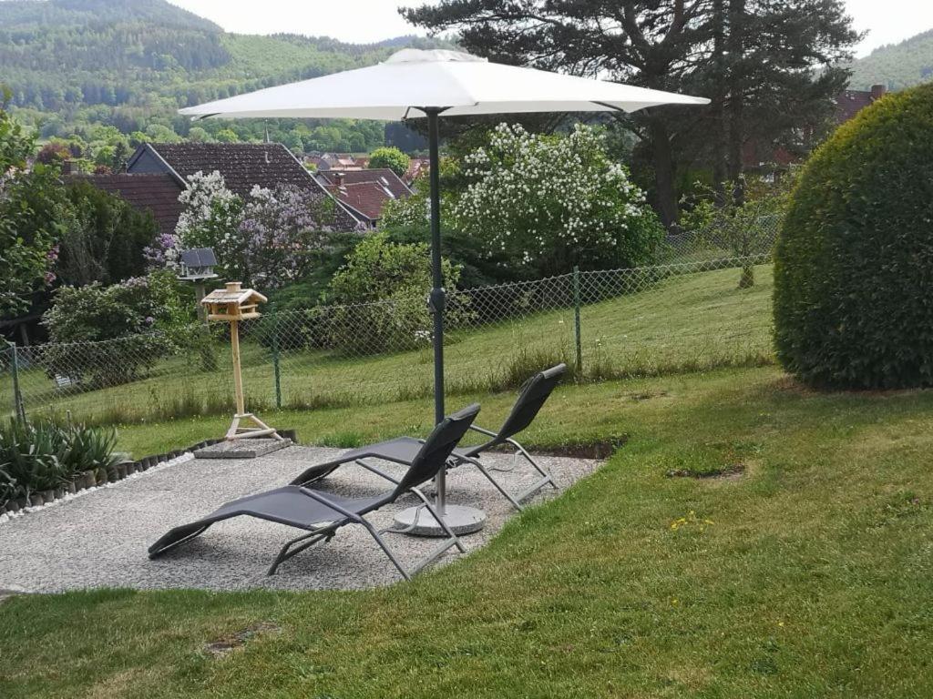 Villa Casa Carlotta - Keine Monteure à Langelsheim Extérieur photo